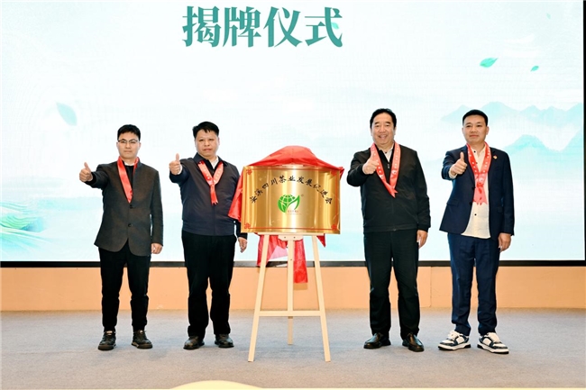 双遗茶韵漫蓉城,安溪茶脉续新章——2025 安溪铁观音(双世遗)成都品鉴会圆满收官