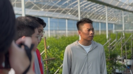 智汇南航,数润简阳 南京航空航天大学学子深入简阳乡村开展五日暑期社会实践