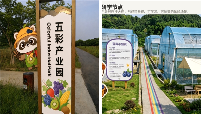 智汇南航,数润简阳 南京航空航天大学学子深入简阳乡村开展五日暑期社会实践