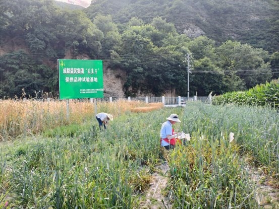 成都理工大学“微光成炬”社会实践团队走进黑水县晴朗乡开展农耕研学实践